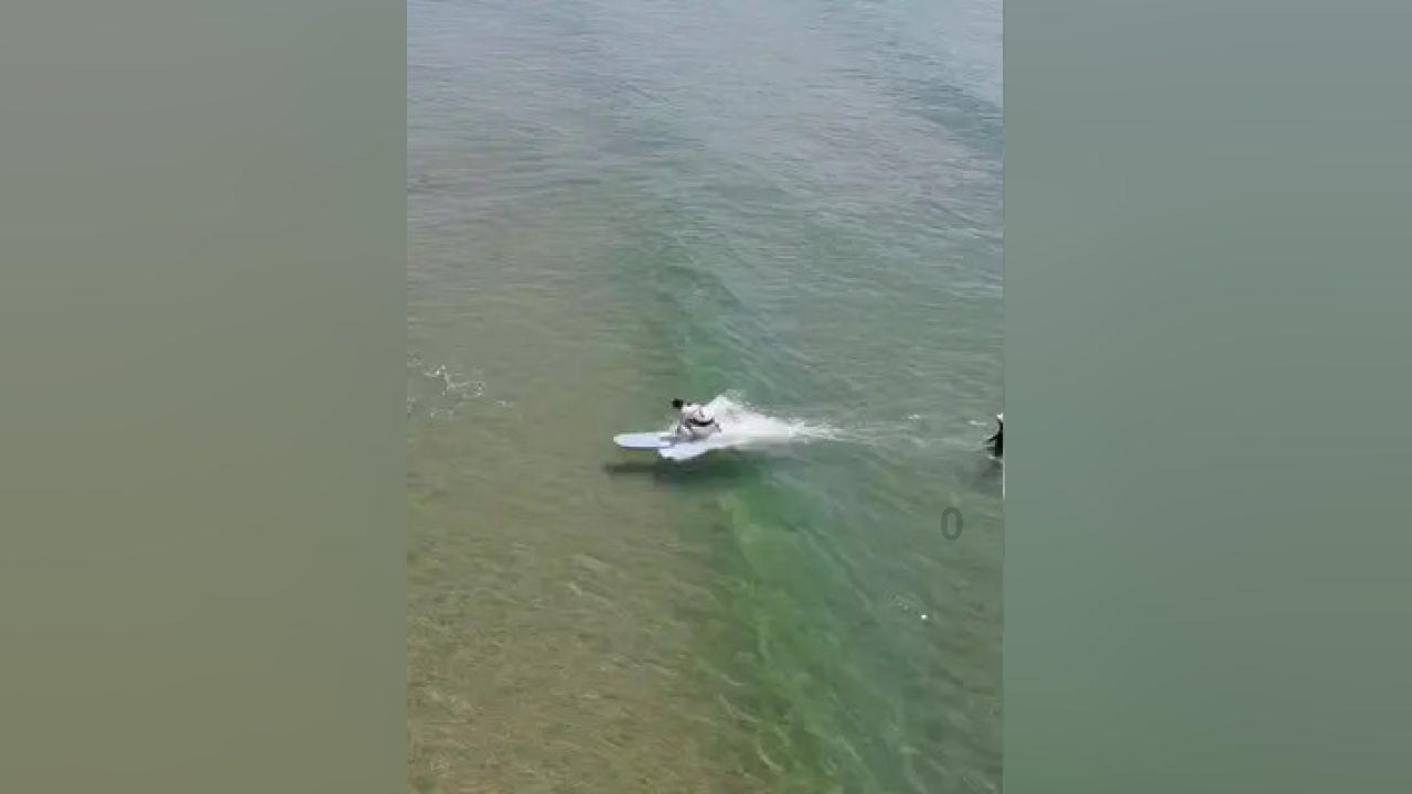 沪江开心词场